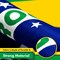 Brazil Brazilian Flag 3x5 Ft 5-Pack 150D Printed Polyester By G128